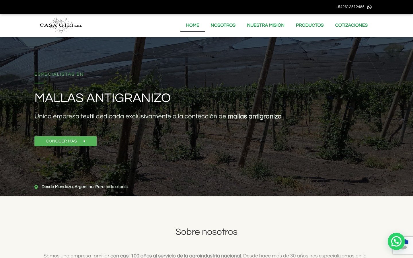 Captura del sitio de Casa Gili (antigranizo.com.ar) desarrollado por MSA Projects