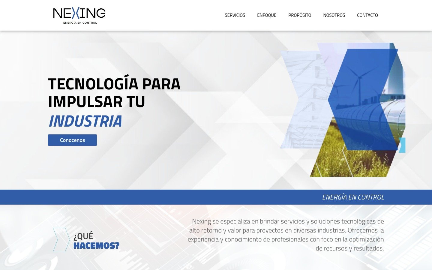 Captura del sitio de Nexing desarrollado por MSA Projects